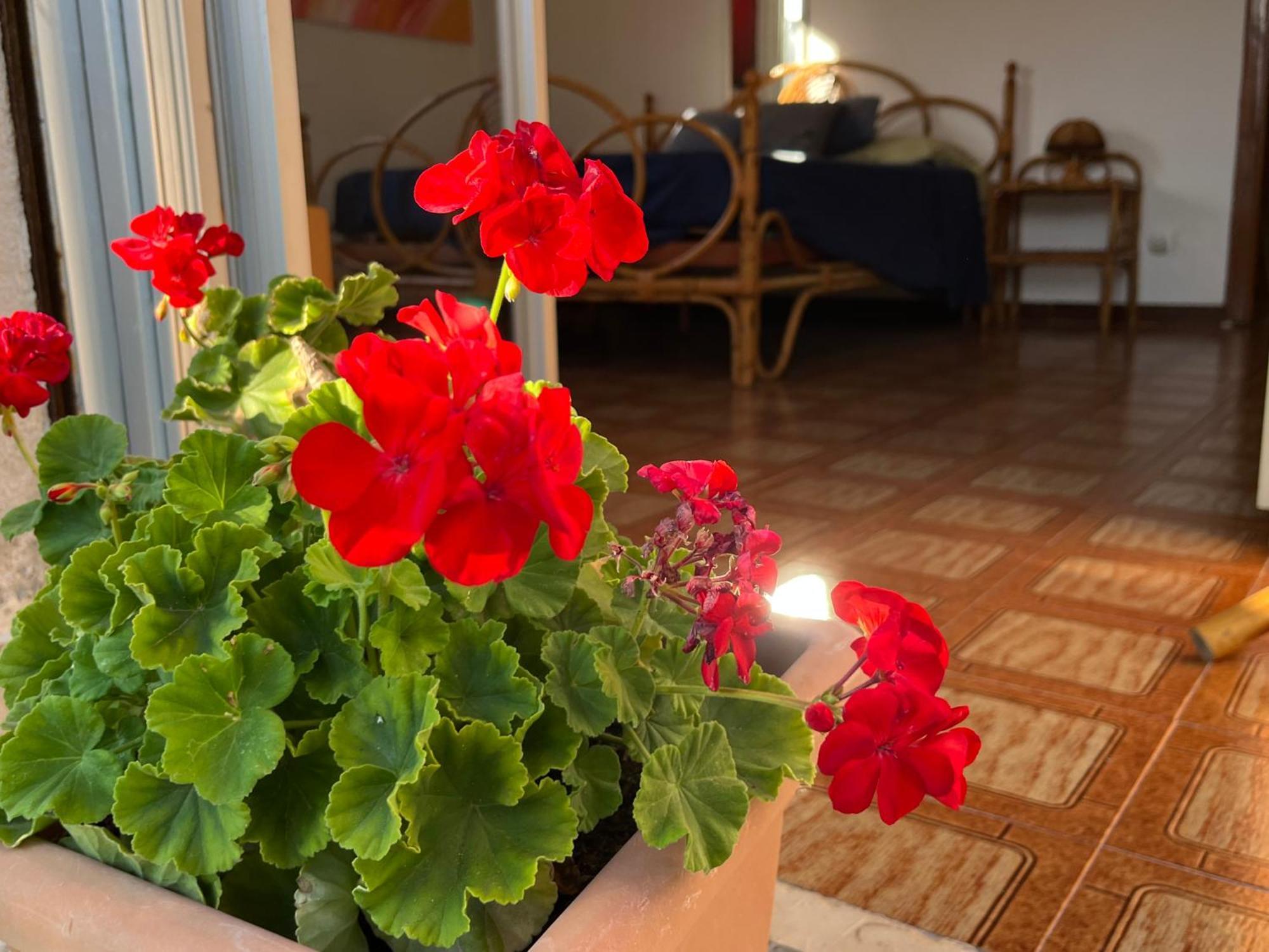 דירות מונדלו A Casa Di Mara מראה חיצוני תמונה