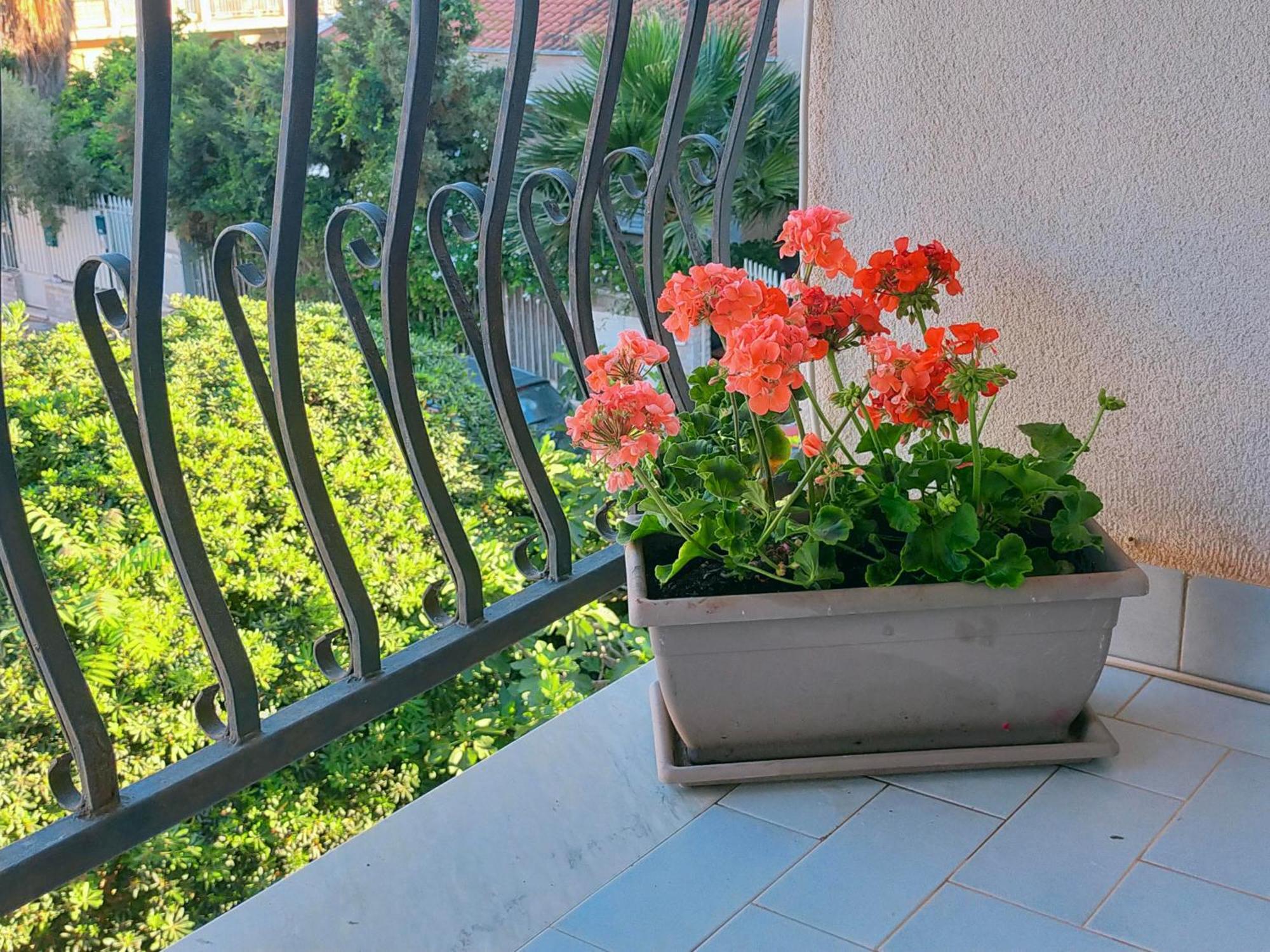 דירות מונדלו A Casa Di Mara מראה חיצוני תמונה